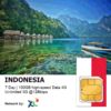 Indonesia Travel Sim