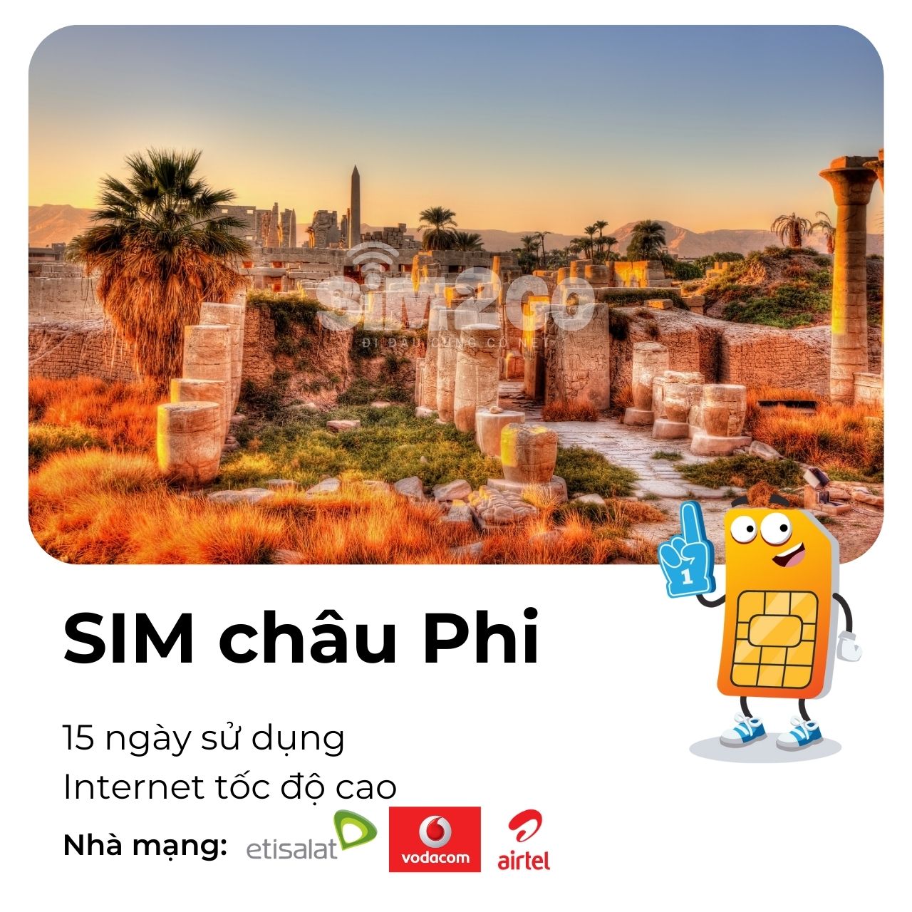 sim-chau-phi-15-ngay