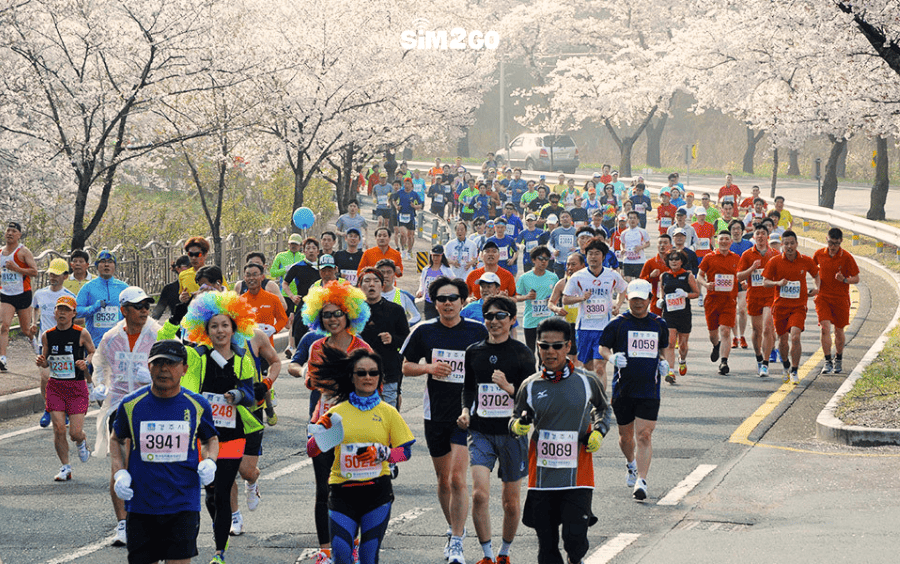 le-hoi-marathon-hoa-anh-dao-thu-hut-rat-nhieu-nguoi-tham-gia-tai-gyeongju