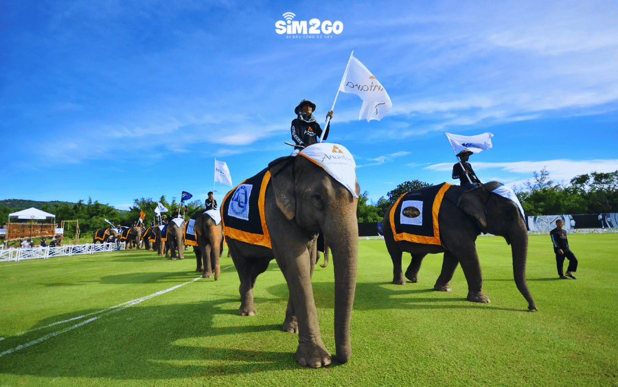 doc-dao-le-hoi-king-s-cup-elephant-polo-khi-du-lich-hua-hin