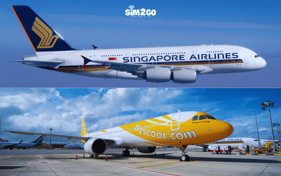 singapore-airlines-va-scoot-la-nhung-hang-bay-duoc-chon-nhieu-nhat-khi-du-lich-singapore