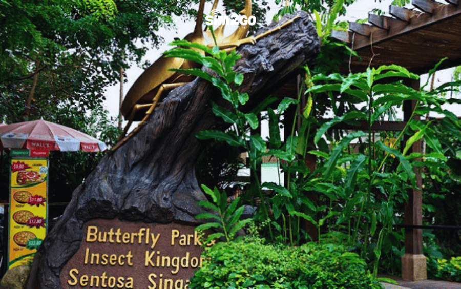 butterfly-park-and-insect-kingdom-co-bo-suu-tap-con-trung-lon-nhat-the-gioi